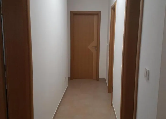 Bozic 诺维·维诺多尔斯基